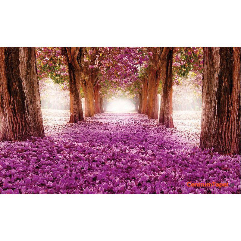 Fototapeta 2378