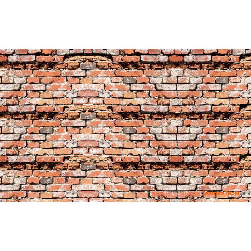 Fototapeta 2931