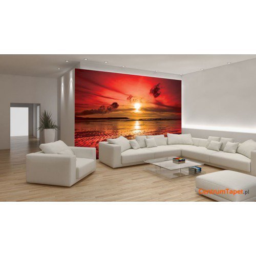 Fototapeta 263