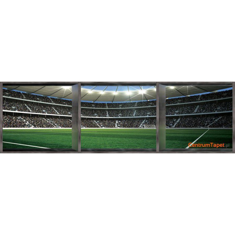Fototapeta 742