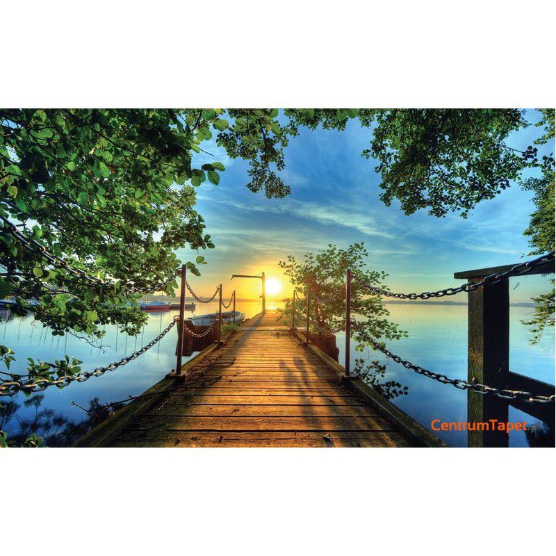 Fototapeta 2223