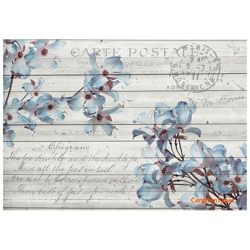 Fototapeta 3545