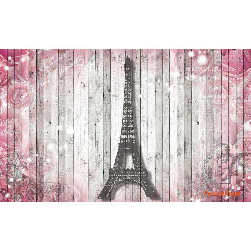 Fototapeta 3322