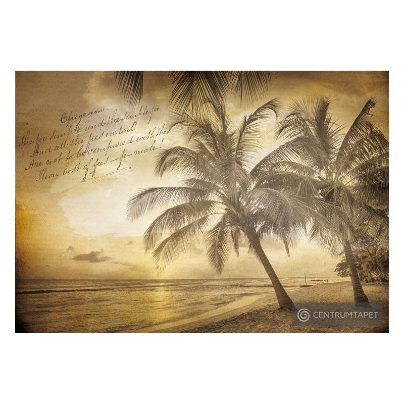 Fototapeta 3588 Palmy