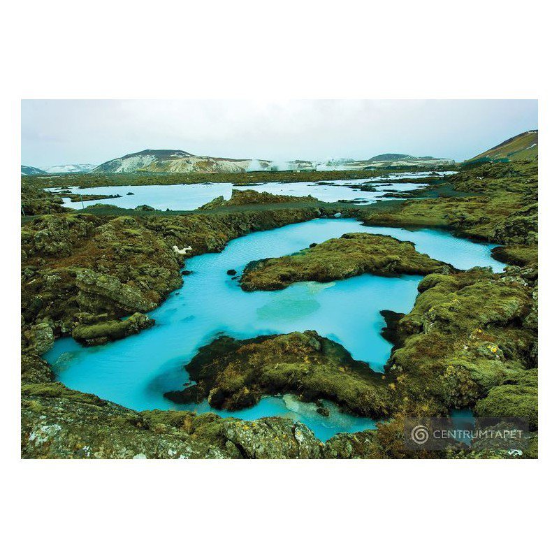 Fototapeta 3608 Natura