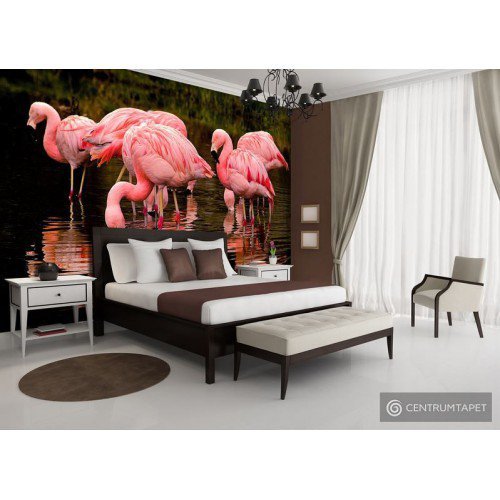 Fototapeta 3616 Flamingi