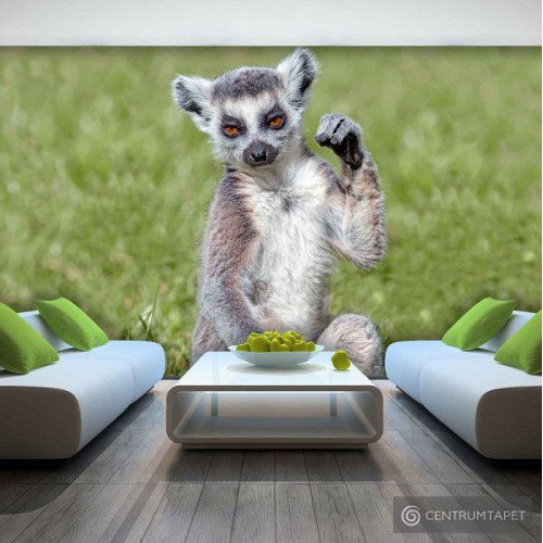 Fototapeta 3623 Lemur