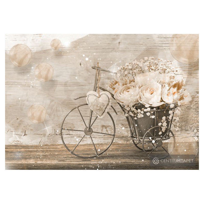 Fototapeta 3667 Vintage