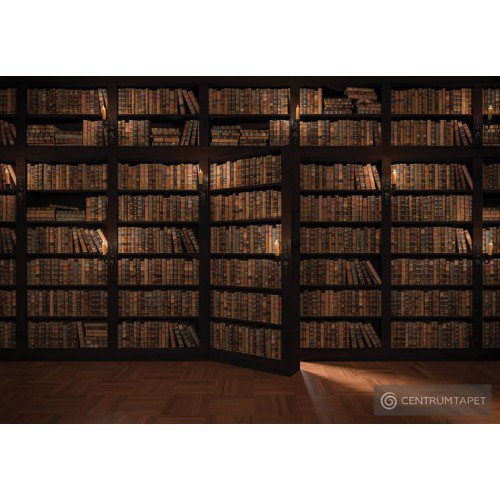 Fototapeta 3690 Biblioteka pełna książek