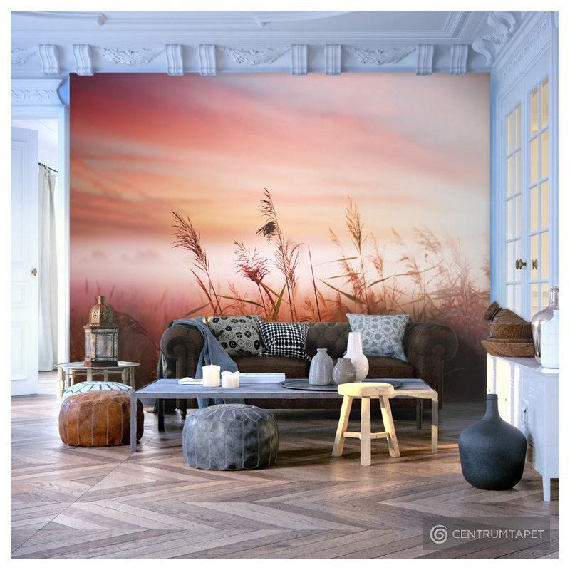 Fototapeta 100406-81 Łąka o świcie Fototapeta 100406-81 Łąka o świcie