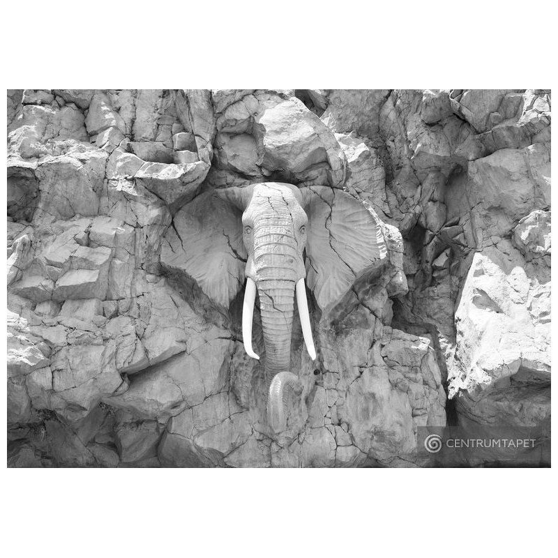 Fototapeta 10116 Kamienny słoń