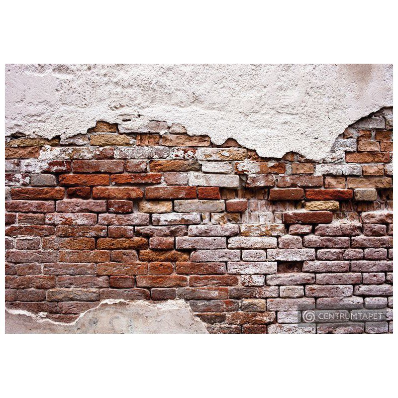 Fototapeta 10182 Ściana z cegły