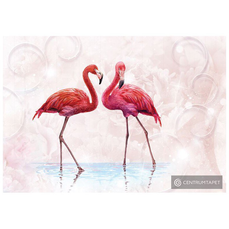 Fototapeta 10199 Flamingi