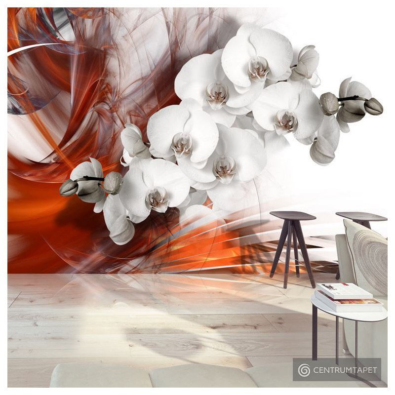 Fototapeta Orchidea w ogniu II b-A-0218-a-b