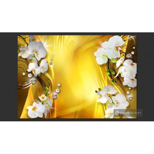 Fototapeta Orchidea w...