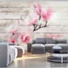 Fototapeta Delikatność Magnolii b-A-0241-a-b