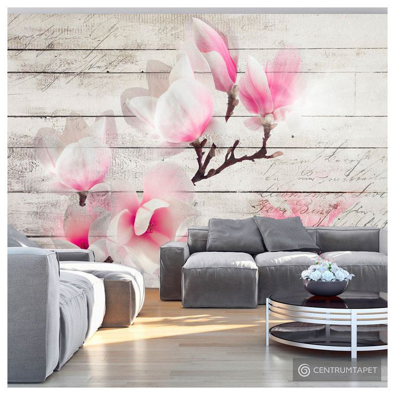 Fototapeta Delikatność Magnolii b-A-0241-a-b