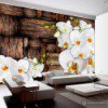 Fototapeta Kwitnące orchidee f-A-0132-a-b