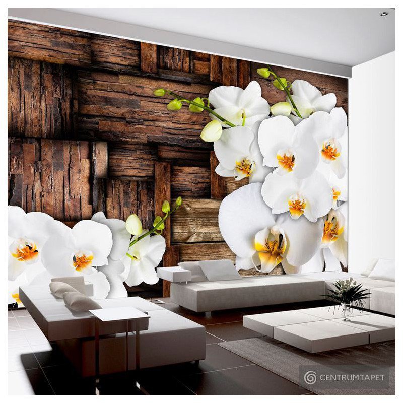 Fototapeta Kwitnące orchidee f-A-0132-a-b