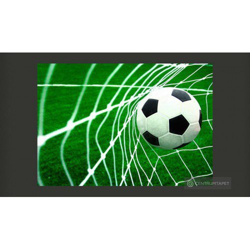 Fototapeta Goool! 101102-3