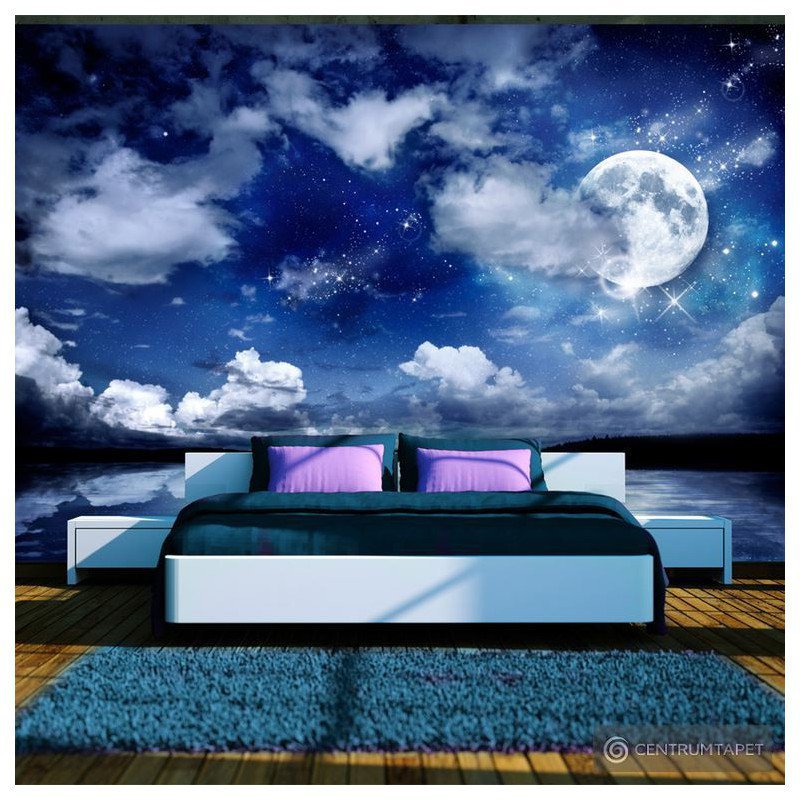 Fototapeta Magiczna noc 10110903-27