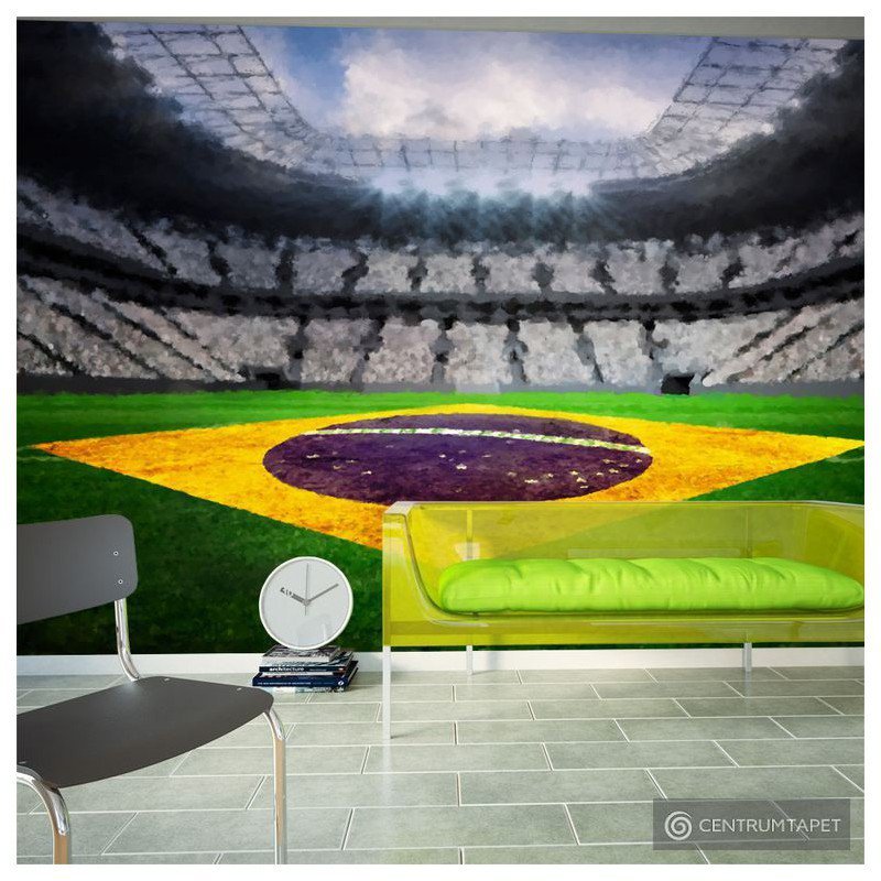 Fototapeta Brazylijski stadion 10110904-11