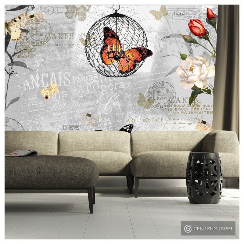Fototapeta Motyli śpiew 10110905-25