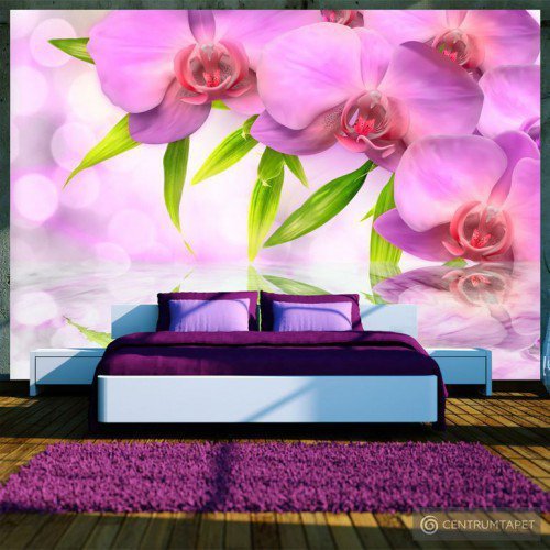 Fototapeta Orchidee w kolorze lila 10110906-27