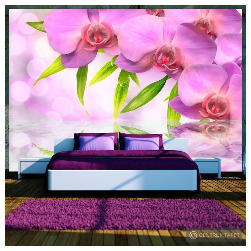 Fototapeta Orchidee w kolorze lila 10110906-27