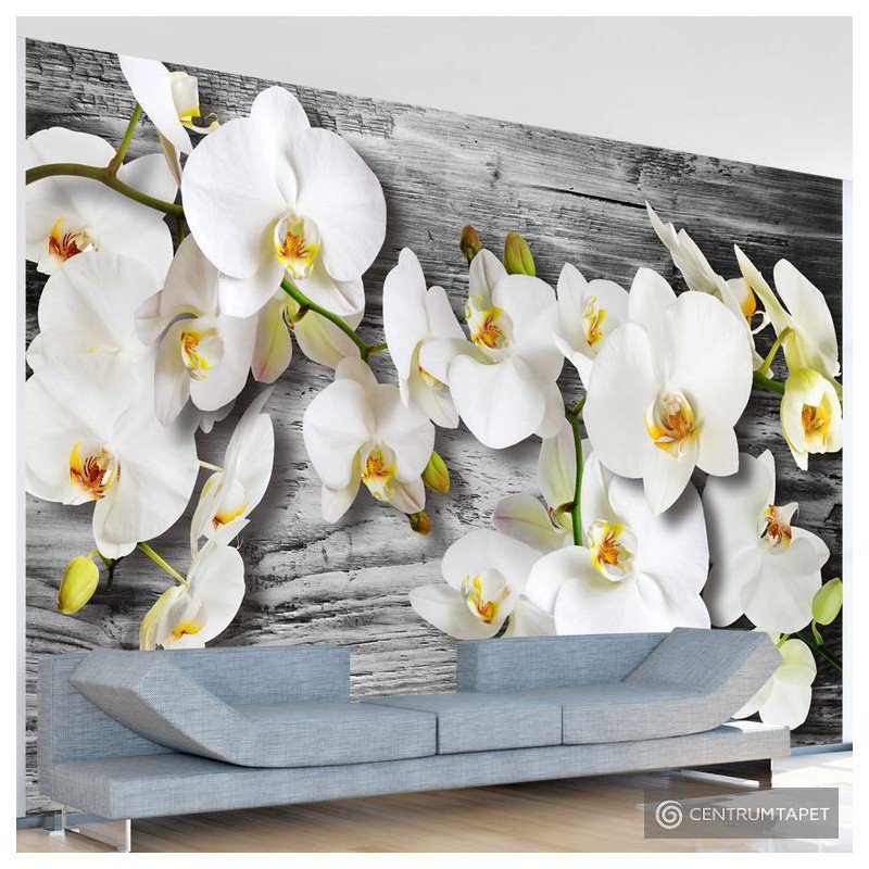 Fototapeta Oziębłe orchidee III 10110906-43