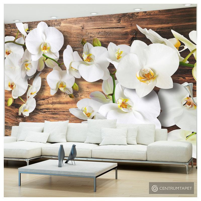 Fototapeta Oziębłe orchidee II 10110906-44