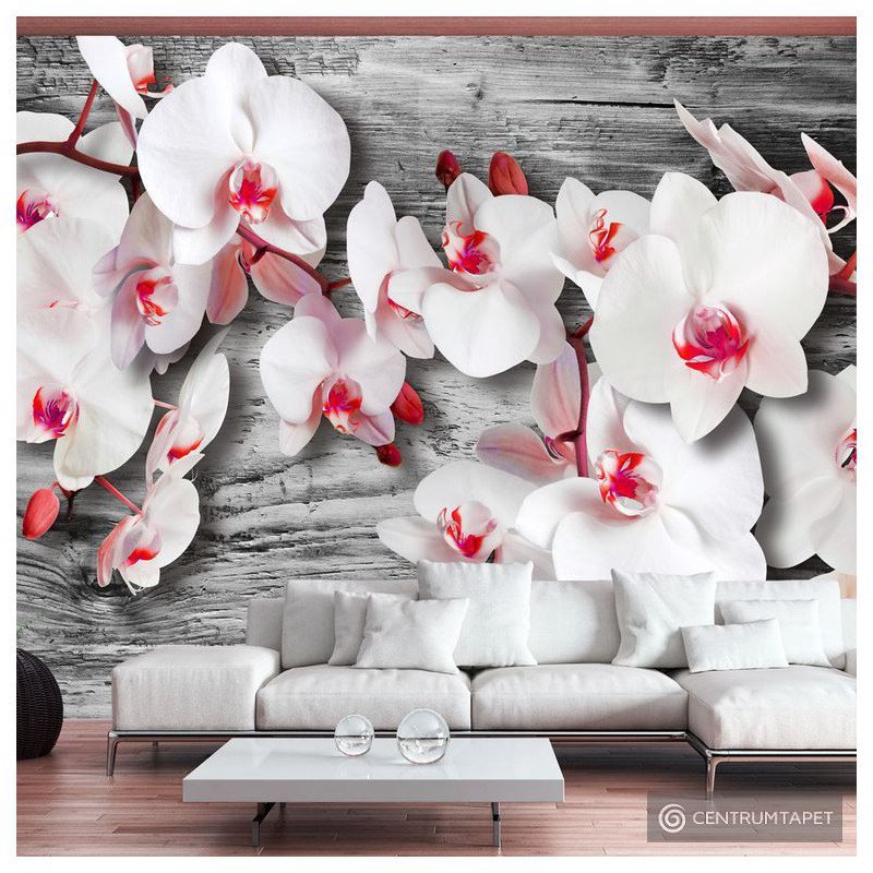 Fototapeta Oziębłe orchidee 10110906-45