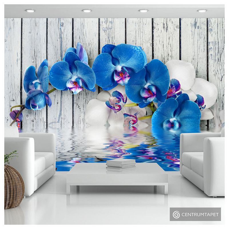 Fototapeta Kobaltowa orchidea 10110906-5 Fototapeta Kobaltowa orchidea 10110906-5