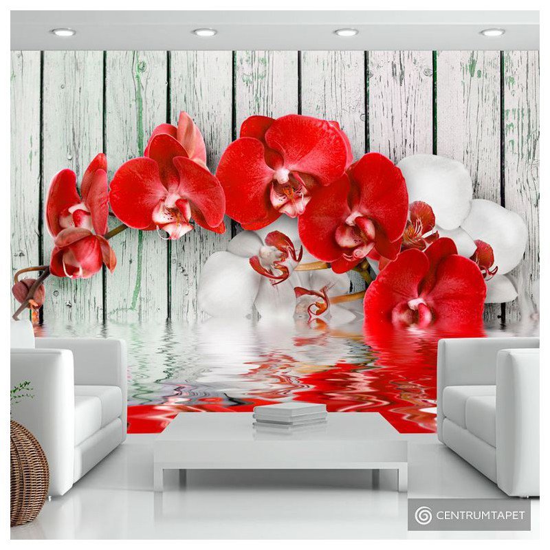 Fototapeta Rubinowa orchidea 10110906-6