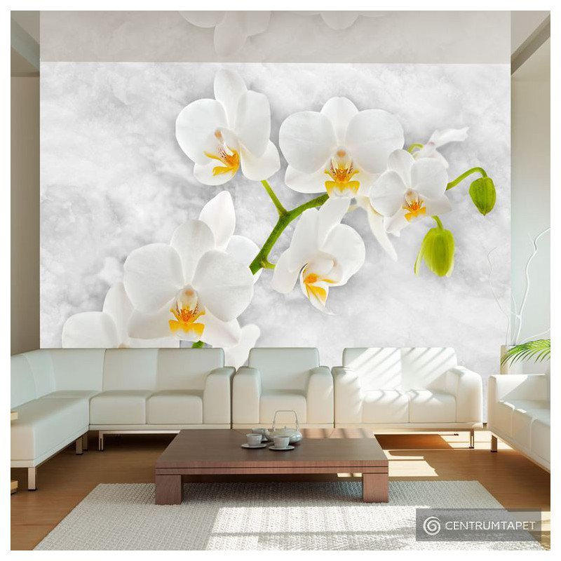 Fototapeta Liryczna orchidea - biel 10110906-90