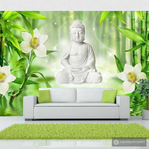 Fototapeta Budda i natura b-A-0049-a-a