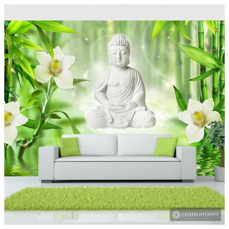 Fototapeta Budda i natura b-A-0049-a-a