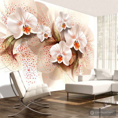 Fototapeta Herbaciane orchidee b-A-0168-a-a