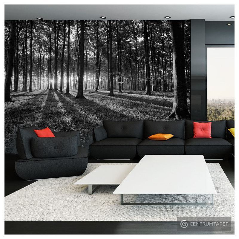 Fototapeta The Light in the Forest c-B-0042-a-a