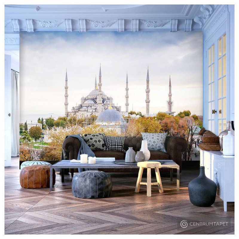 Fototapeta Hagia Sophia - Stanbuł d-B-0016-a-a
