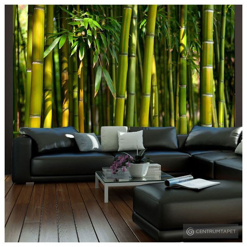 Fototapeta Azjatycki las bambusowy 100403-10