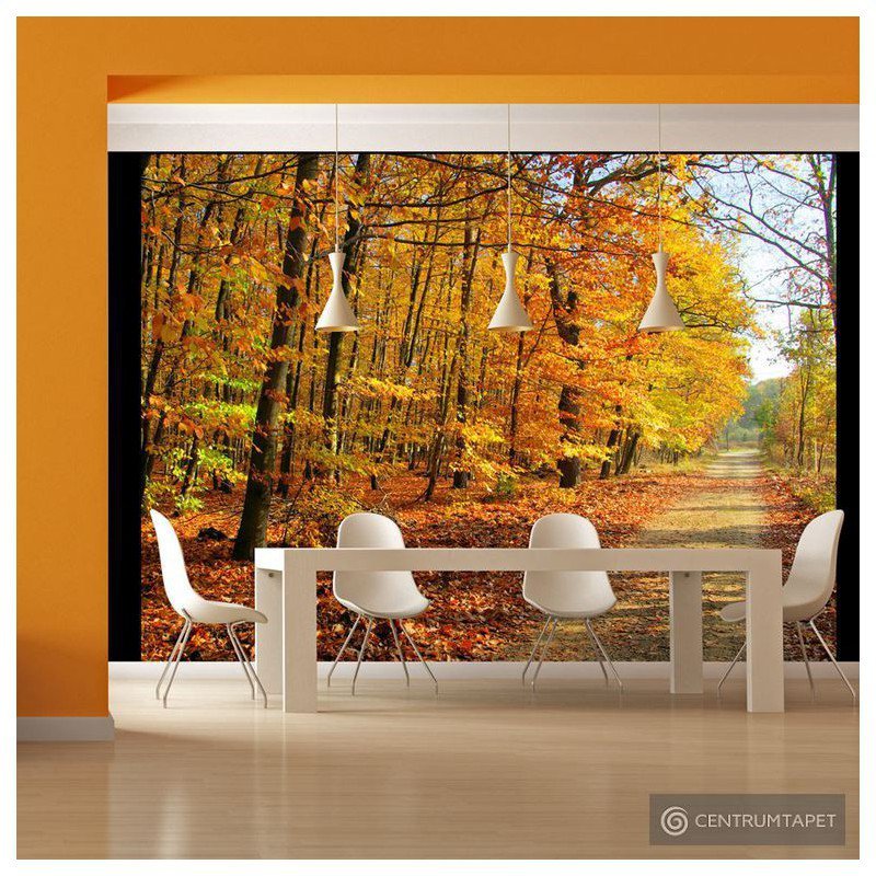 Fototapeta Beech forest 100403-103