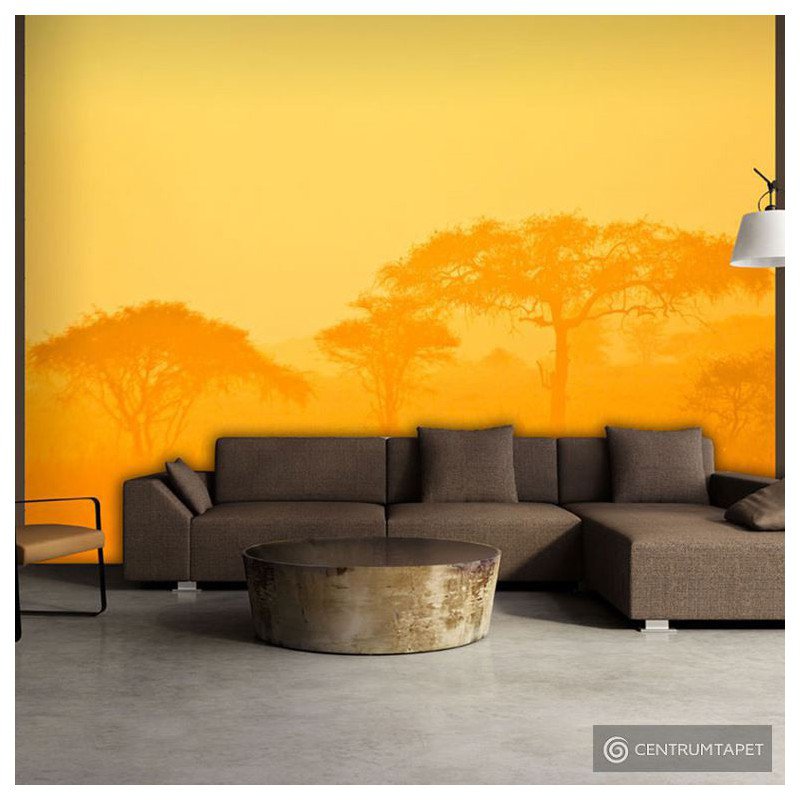 Fototapeta Orange savanna 100403-12