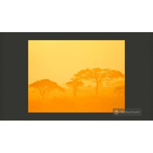 Fototapeta Orange savanna...