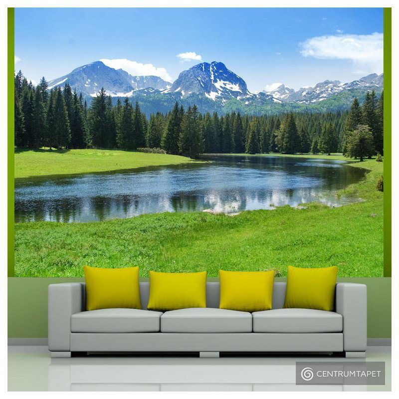 Fototapeta National Park Durmitor