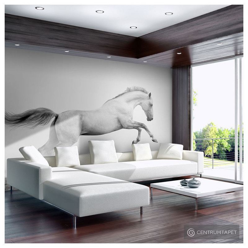 Fototapeta White gallop 100403-177 Fototapeta White gallop 100403-177