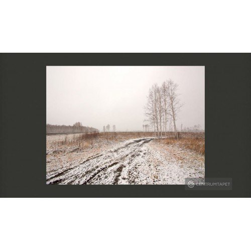 Fototapeta Winter field...