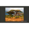  Kenia 100403-206