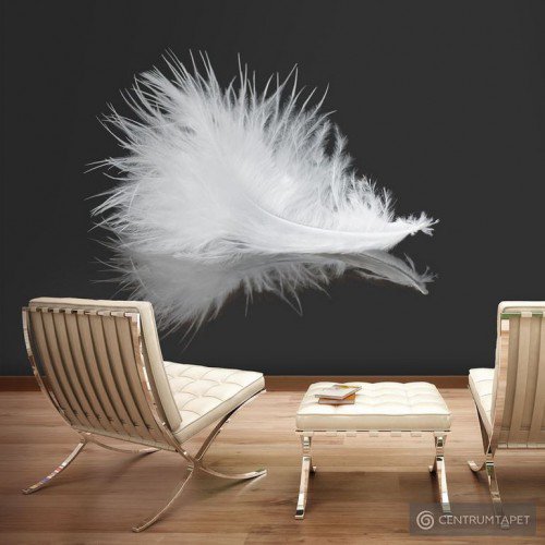 Fototapeta White feather 100403-235