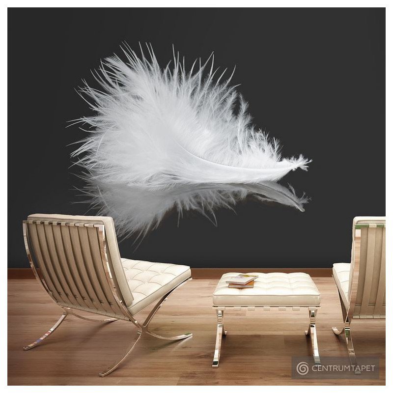 Fototapeta White feather 100403-235
